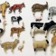 animals