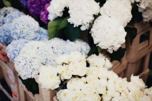 ParkandCube_ColumbiaRdFlowerMarket_02