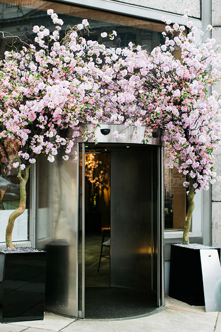 Park-and-Cube_Sake-no-Hana_016